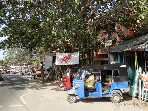 Прекрасное море Шри-Ланки