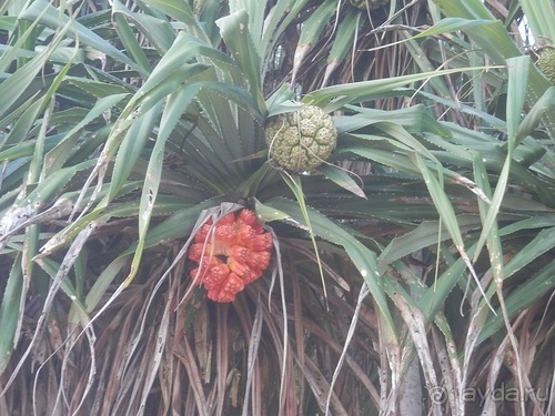 Прекрасное море Шри-Ланки