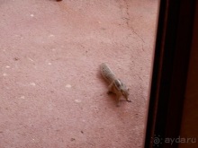 Прекрасное море Шри-Ланки