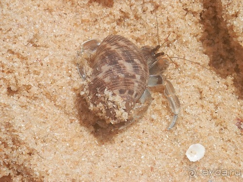 Прекрасное море Шри-Ланки