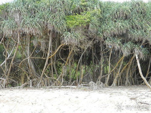 Прекрасное море Шри-Ланки