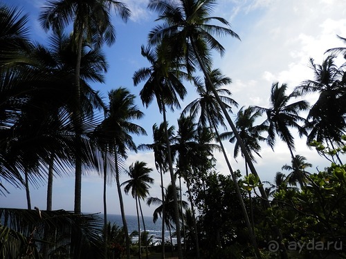 Прекрасное море Шри-Ланки