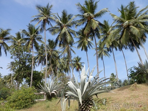 Прекрасное море Шри-Ланки