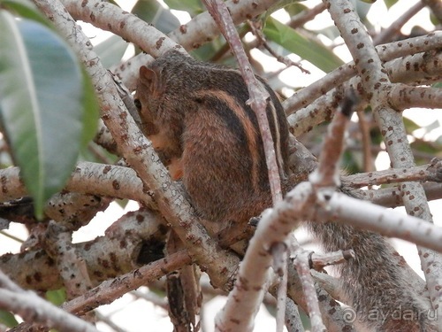 Прекрасное море Шри-Ланки