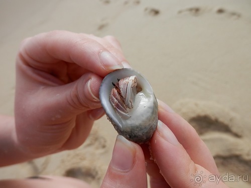 Прекрасное море Шри-Ланки