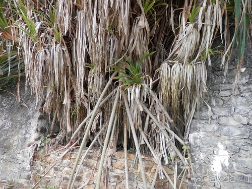 Прекрасное море Шри-Ланки