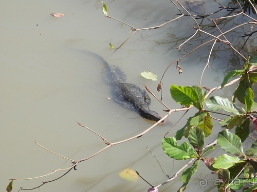 Прекрасное море Шри-Ланки