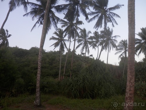 Прекрасное море Шри-Ланки