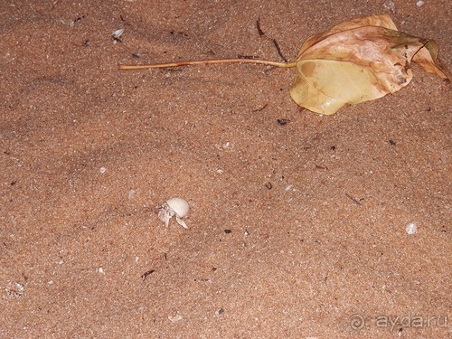 Прекрасное море Шри-Ланки