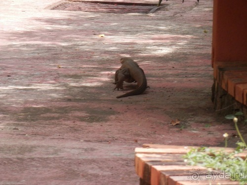 Прекрасное море Шри-Ланки