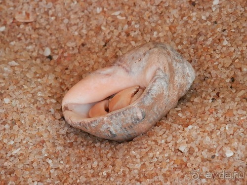 Прекрасное море Шри-Ланки