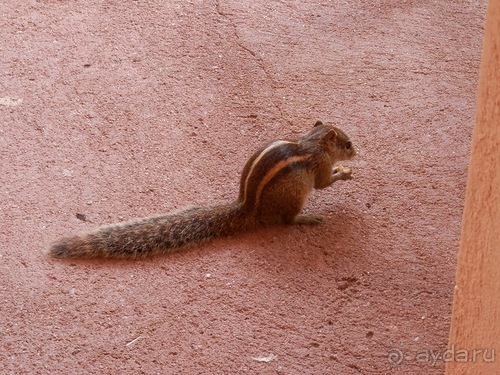 Прекрасное море Шри-Ланки