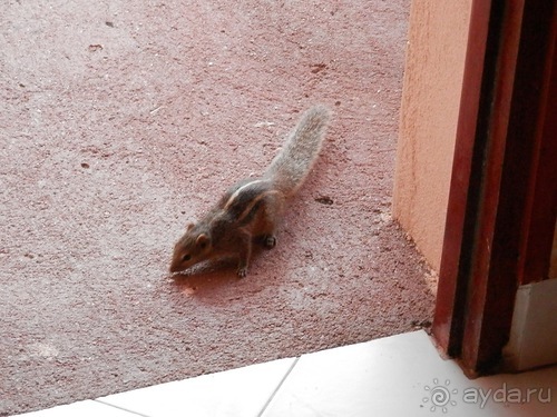 Прекрасное море Шри-Ланки