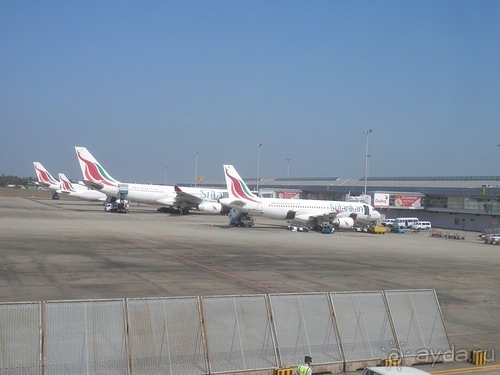 Прекрасное море Шри-Ланки