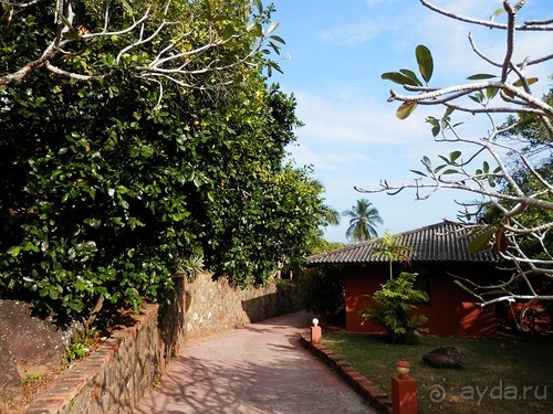 Прекрасное море Шри-Ланки