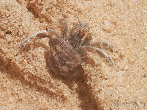 Прекрасное море Шри-Ланки