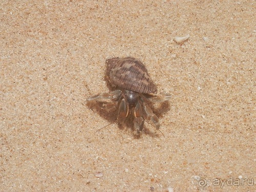 Прекрасное море Шри-Ланки