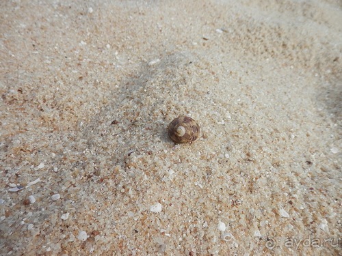 Прекрасное море Шри-Ланки