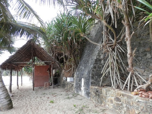 Прекрасное море Шри-Ланки