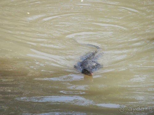 Прекрасное море Шри-Ланки