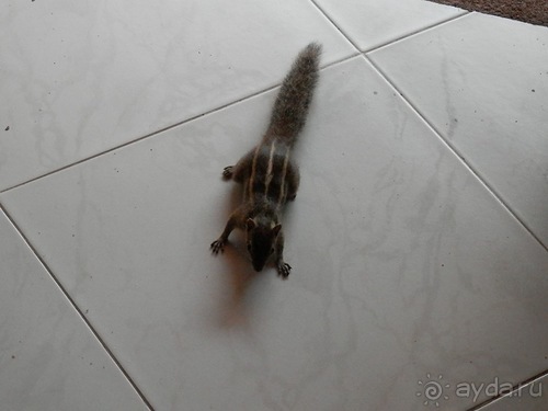 Прекрасное море Шри-Ланки