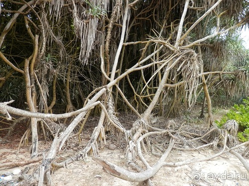 Прекрасное море Шри-Ланки