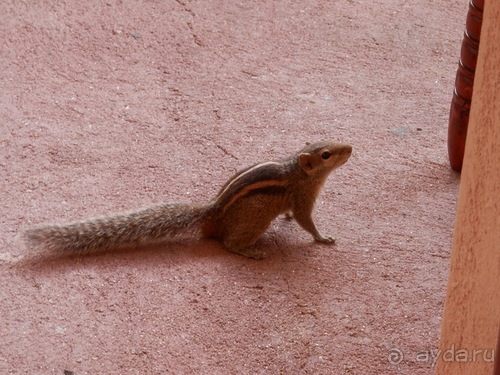 Прекрасное море Шри-Ланки