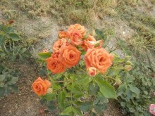 Свято-Климентовский монастырь, Херсонес и Севастополь