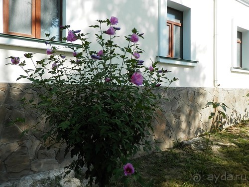 Свято-Климентовский монастырь, Херсонес и Севастополь