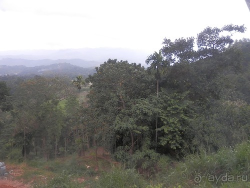 Шри-Ланка - национальные танцы и храм Зуба Будды