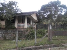 Шри-Ланка - национальные танцы и храм Зуба Будды