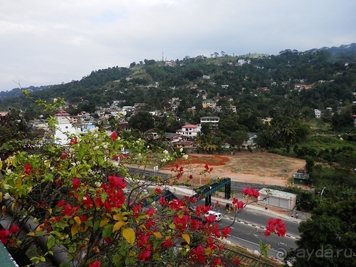 Шри-Ланка - национальные танцы и храм Зуба Будды