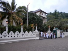 Шри-Ланка - национальные танцы и храм Зуба Будды