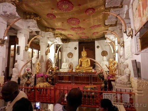 Шри-Ланка - национальные танцы и храм Зуба Будды