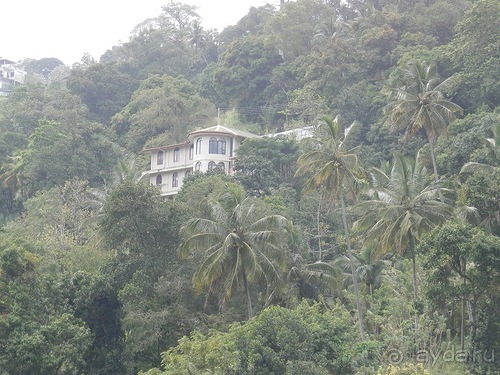 Шри-Ланка - национальные танцы и храм Зуба Будды