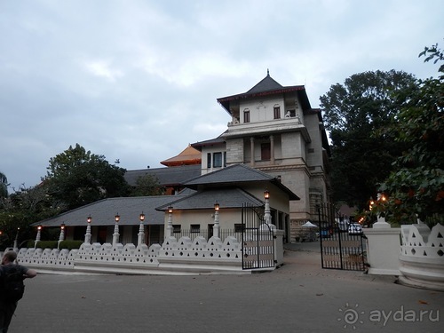 Шри-Ланка - национальные танцы и храм Зуба Будды