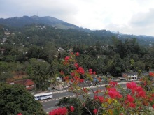 Шри-Ланка - национальные танцы и храм Зуба Будды