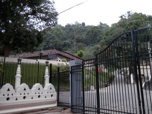 Шри-Ланка - национальные танцы и храм Зуба Будды