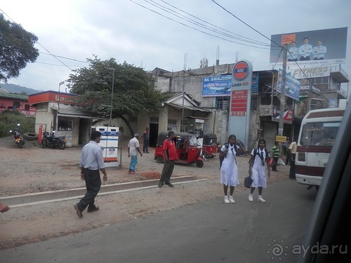 Шри-Ланка - национальные танцы и храм Зуба Будды