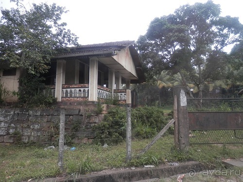 Шри-Ланка - национальные танцы и храм Зуба Будды