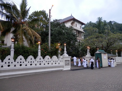 Шри-Ланка - национальные танцы и храм Зуба Будды