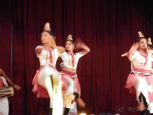 Шри-Ланка - национальные танцы и храм Зуба Будды