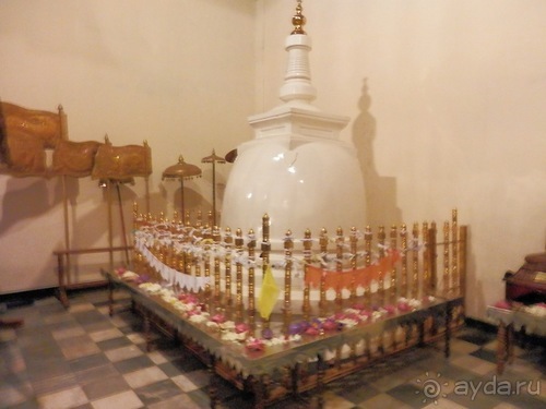 Шри-Ланка - национальные танцы и храм Зуба Будды