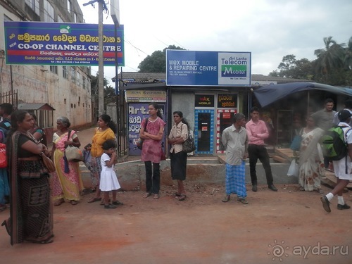 Шри-Ланка - национальные танцы и храм Зуба Будды