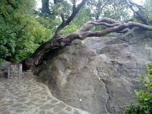 Воронцовский дворец и парк