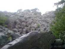 Воронцовский дворец и парк