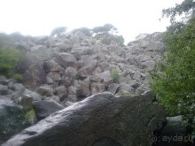 Воронцовский дворец и парк