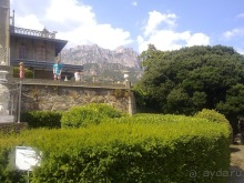 Воронцовский дворец и парк