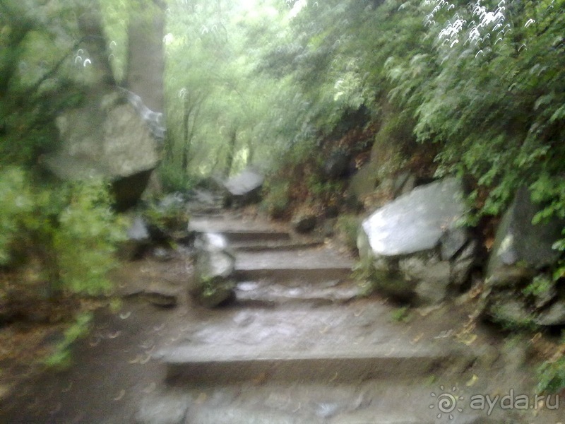 Воронцовский дворец и парк