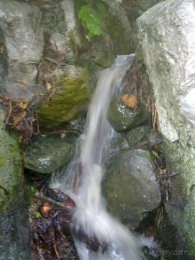 Воронцовский дворец и парк